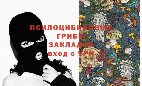 apvp Балахна