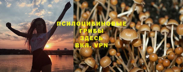 ALPHA-PVP Баксан