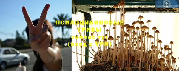 хмурый Балабаново