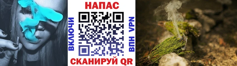 Каннабис индика Грязовец